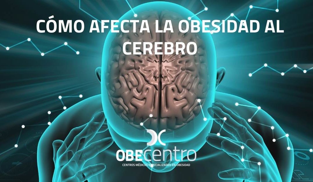 Cómo afecta la obesidad al cerebro