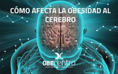 Cómo afecta la obesidad al cerebro